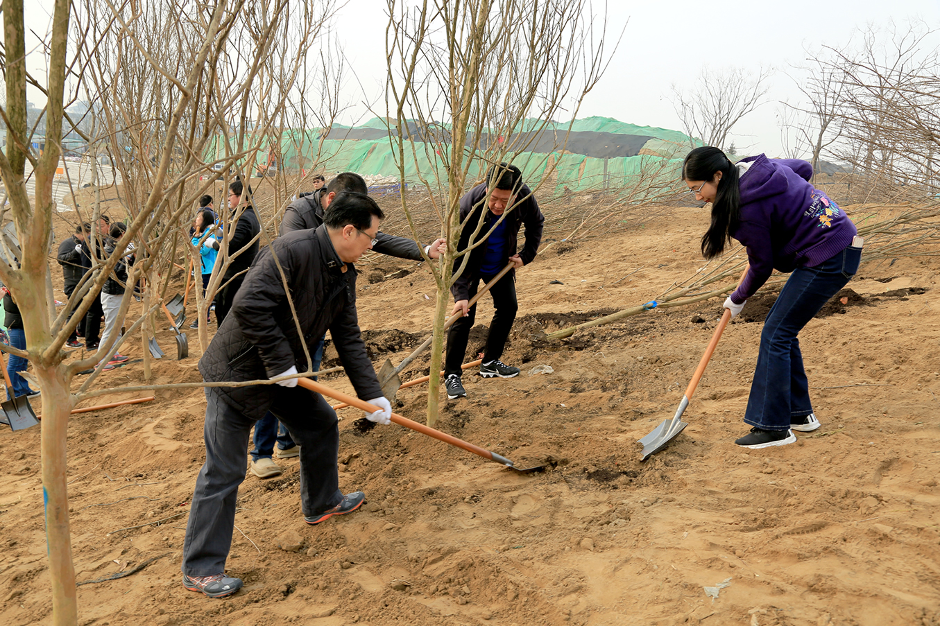 ��2017/3/10��ֲ��